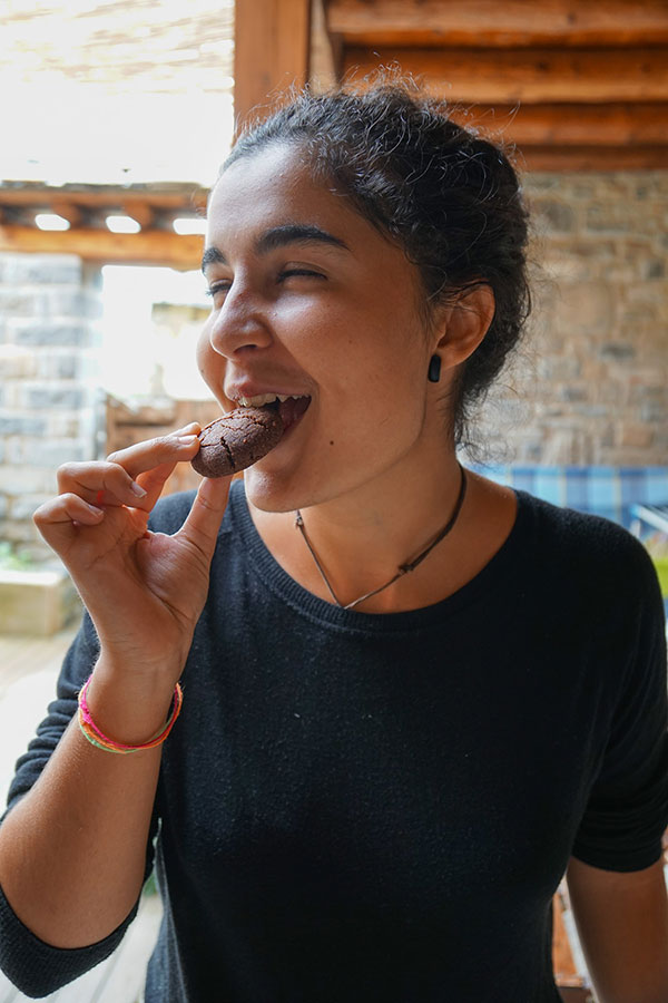 Galletas de chocolate y jengibre de un 8 de julio