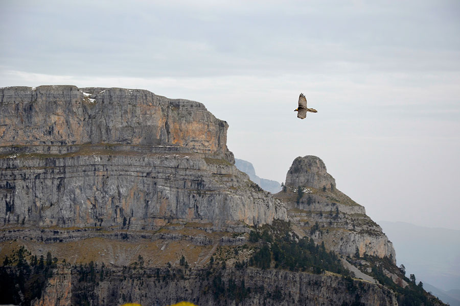 Naturaleza y entorno de Casa Cuadrau