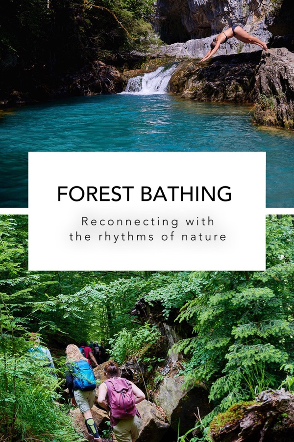 Forest Bathing Reconnecting with the rhythms of nature Casa Cuadrau