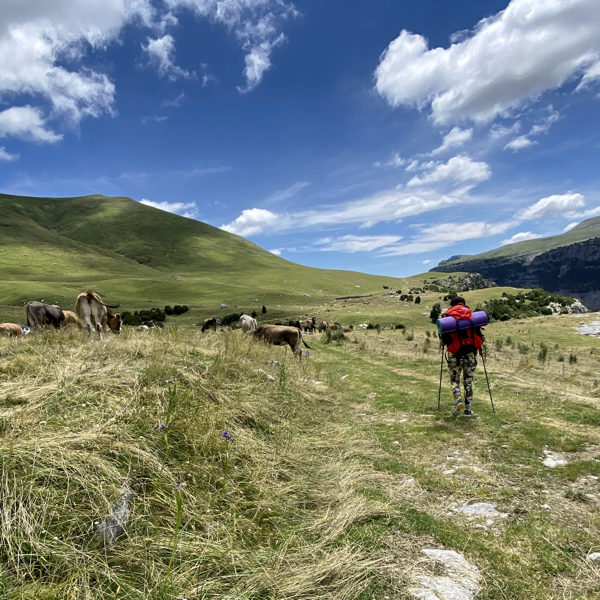 peregrinaje-casa-cuadrau-yoga-senderismo-pirineos