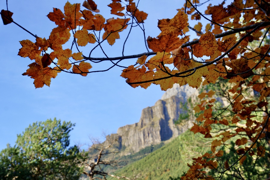 otoño-casa-cuadrau-pirineos-pyrenees-autumn